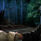 Zefram Cochrane initiates the handshake heard ‘round the quadrant.
